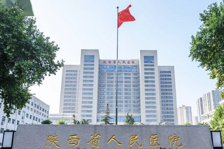 97392311301820299666